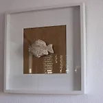 A Dois Passos Da Albufeira